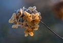 SAM_5354 Kopie